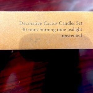 Decorative cactus candle set of 6.